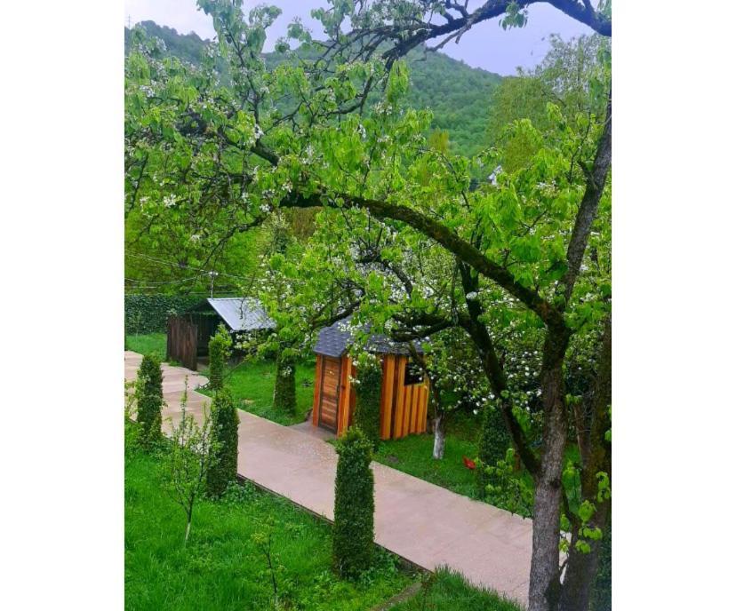 Green Garden B&B Dilijan Eksteriør billede