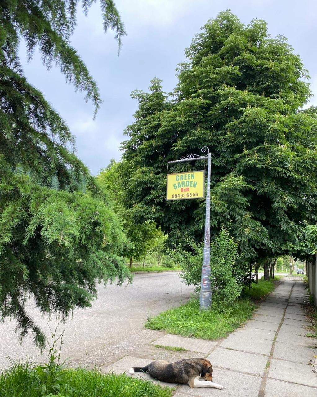 Green Garden B&B Dilijan Eksteriør billede